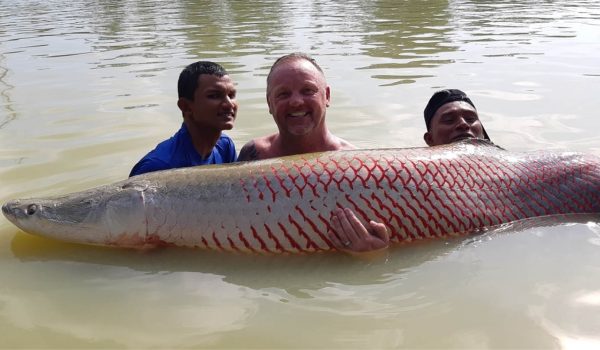 SFC Fish Species - Amazon Arapaima